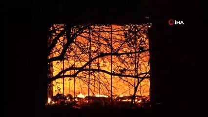 Uşak’ta 2 ev ve 1 ahırı alevler sardı: Çok sayıda hayvan telef oldu