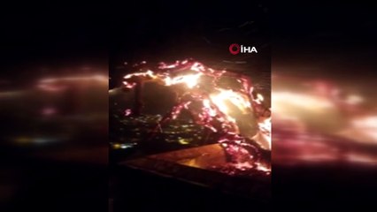 Bodrum'da bayrak tepesi alev alev yandı