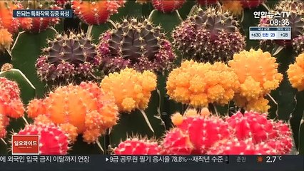 '선택과 집중'…돈 되는 특화작목 집중육성
