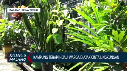 Menengok Kampung Terapi Hijau, Maksimalkan Gang Sempit Untuk Terapi Hingga Penghijauan