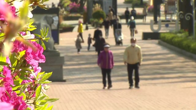 화창한 봄 날씨에 나들이객 발길 이어져...방역 당국 '긴장' / YTN