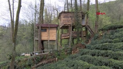 PANDEMİDE ORMANDAKİ AĞAÇ EVDE İZOLE OLUYOR