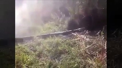 Dev anakondayı traktörle çıkardılar!