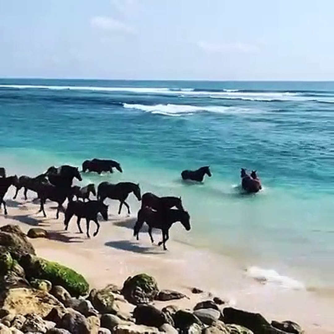 Best videos, Top videos, Viral videos Funny videos no. 123