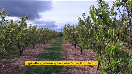 Agriculture : Jean Castex annonce une aide exceptionnelle d’un milliard d’euros