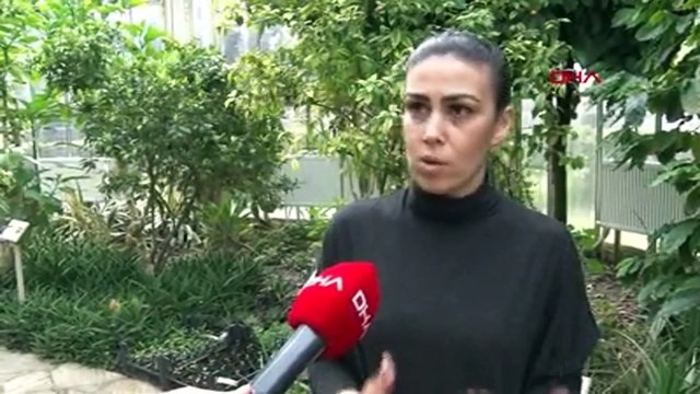 Koronavirüse karşı doğal ilaç! Evde sirke yapımı tarifi