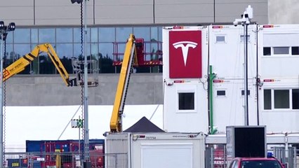 Près de Berlin, le chantier d'une usine géante de Tesla suscite une levée de boucliers