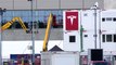 Alemania | Brandeburgo rechaza la construcción de la mega fábrica de Tesla por daños ambientales
