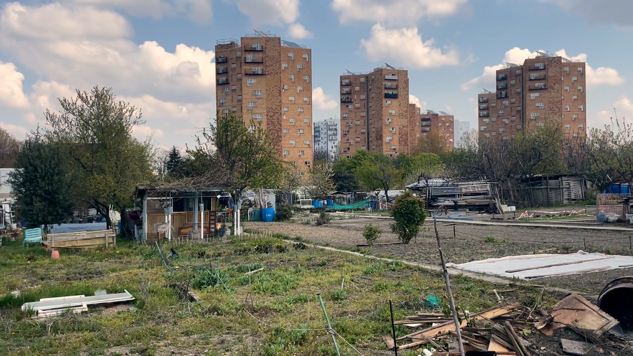 «On veut des potirons, pas du béton», scandent les défenseurs des jardins ouvriers d’Aubervilliers