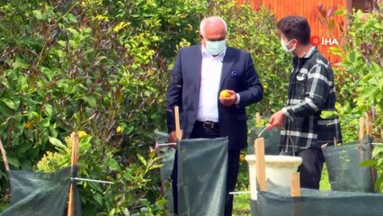 Ektikleri alın terinin meyvelerini e ticaretle topluyorlar