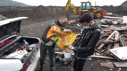 Sahipsiz sokak hayvanlarına mama yetiştirmekte zorlanıyorlar