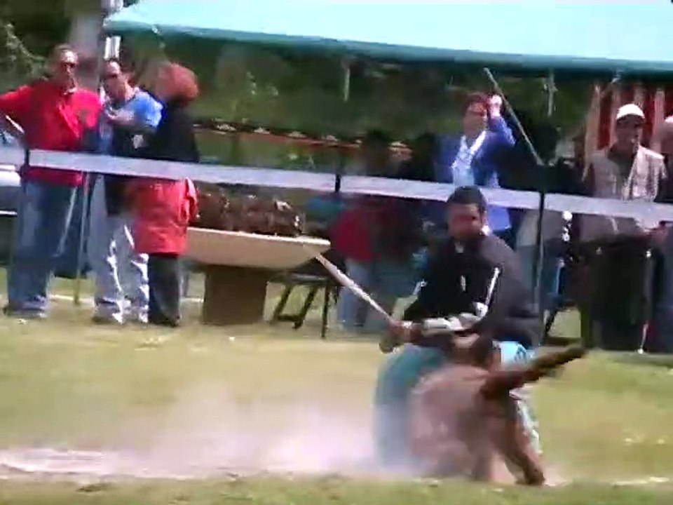 Ring : 2009 Vanghogh des Démons du Quercy sélectif Ring