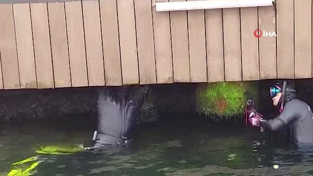 Son dakika haberi... Üsküdar'da Sahil Güvenlik Komutanlığı ekiplerinin kedi kurtarma operasyonu kamerada