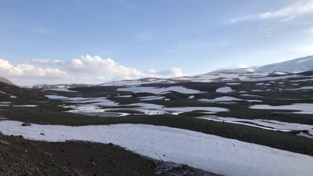 Aras Dağları karların erimesiyle renklendi