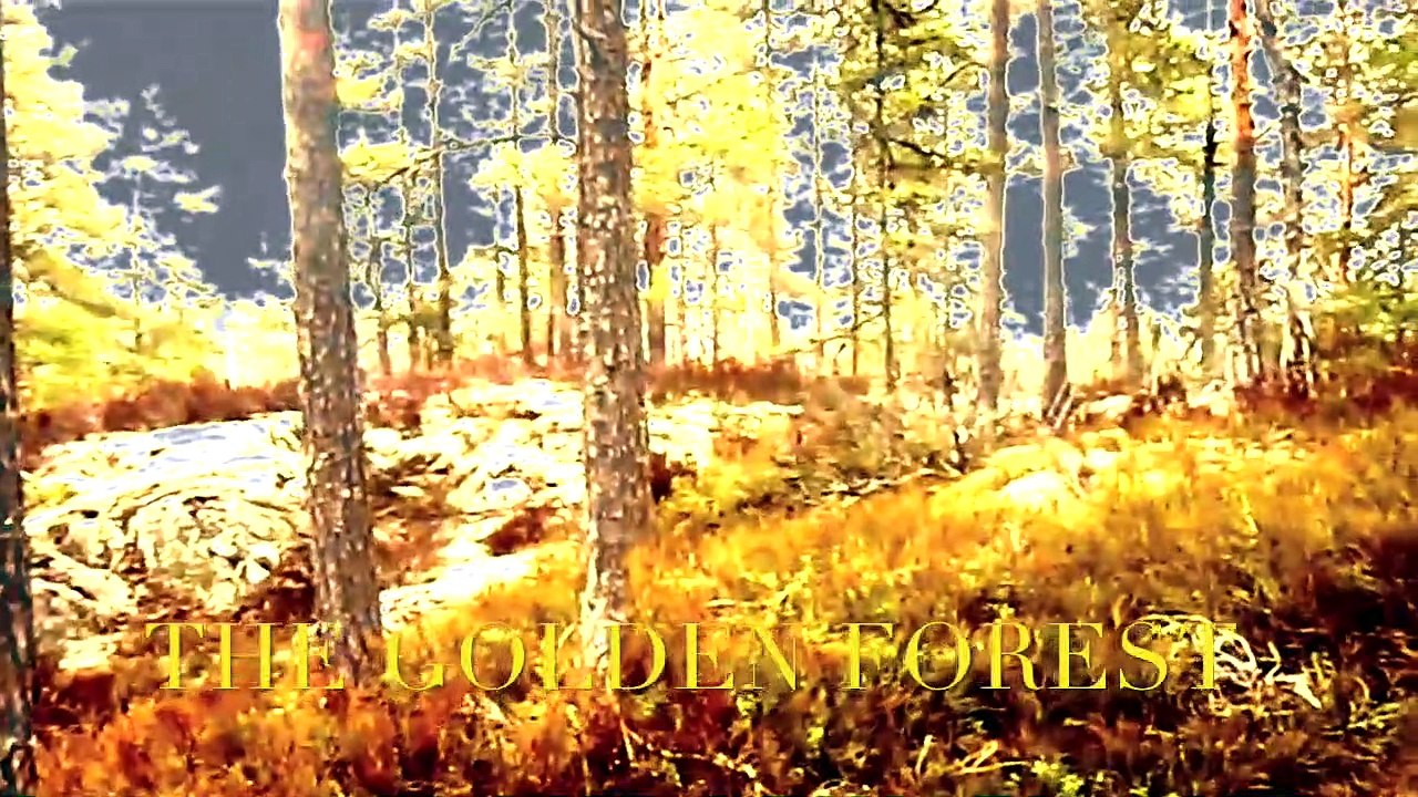 The Golden Forest