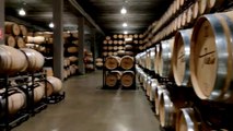 Blanco y en barrica: la revolución del vino de Rioja