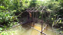 Build The Most Beautiful Bamboo House On River In Deep Jungle​ By Woman Skill