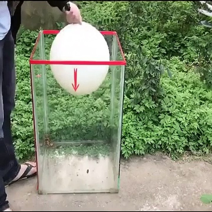 Daha önce hiç böyle fare kapanı görmediniz