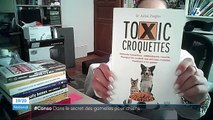 Animaux : les croquettes pour chien, un marché lucratif pour les industriels