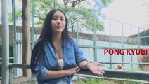Pong's Vlog - Pong's And SuperBike - Pong's Lifestyle - Pong's Visit the Zoo - Pong Kyubi