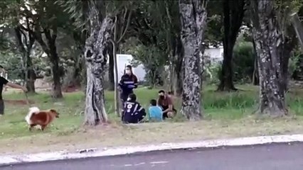 Samu socorre homem caído em praça na região central