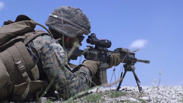 US Military News • U.S Marines Squad Fire & Maneuver Training • Camp Lejeune, North Carolina