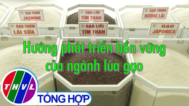Nông nghiệp bền vững: Hướng phát triển bền vững của ngành lúa gạo