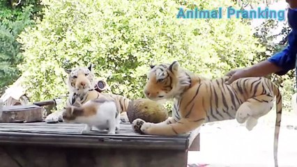 Fake Tiger Prank Dog And Cat How Can I Stop Laugh Funny.