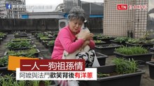 好不容易求來的祖孫情！ 75歲阿嬤與法鬥歡笑背後有洋蔥