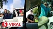 Four men in viral road rage video arrested, test positive for drugs