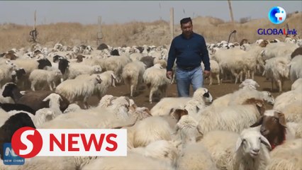 A cotton farmer's life in Xinjiang