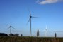 Le Conseil d’Etat valide la construction d’un grand parc éolien contre l’avis des défenseurs de l’environnement
