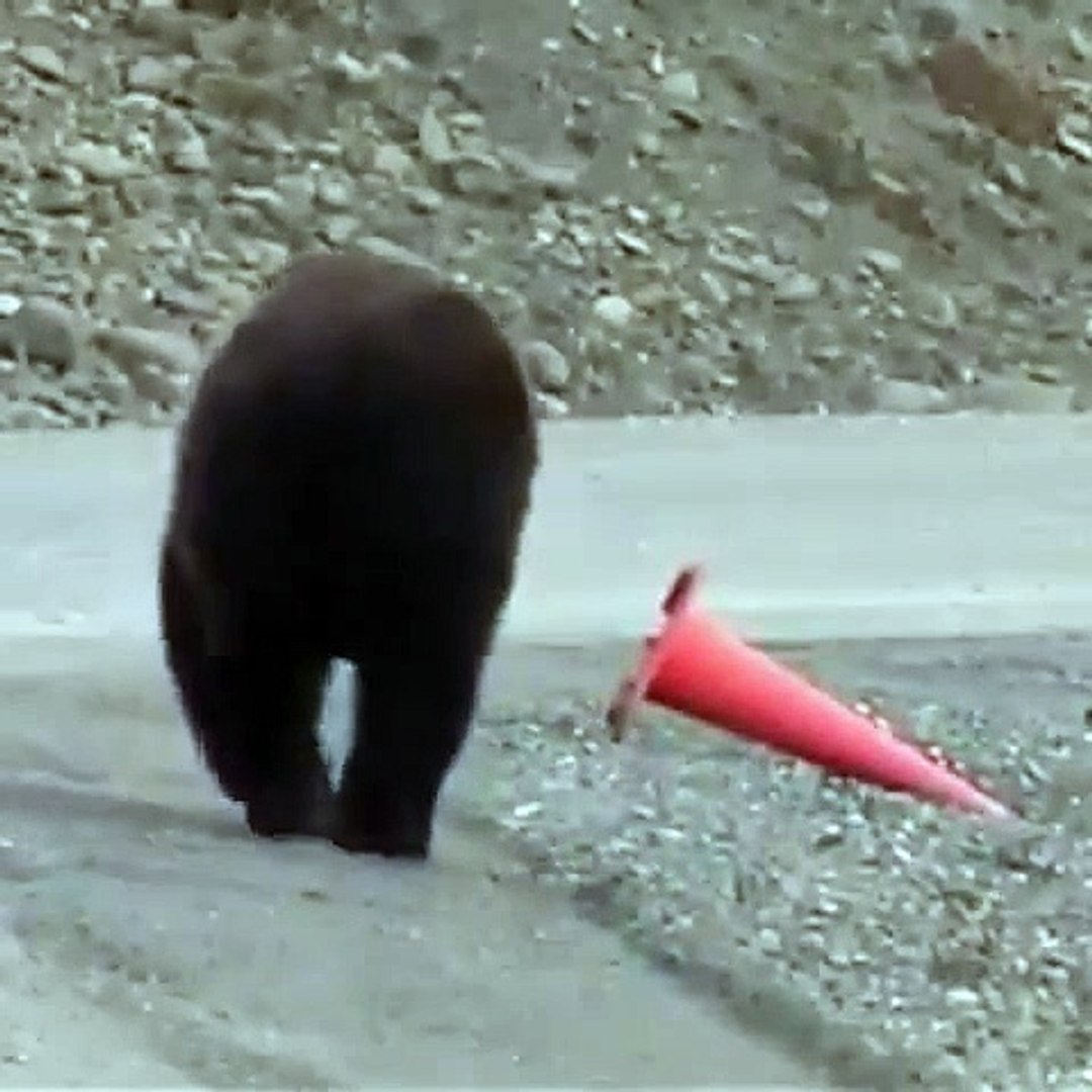 Best videos, Top videos, Viral videos Funny videos no. 130