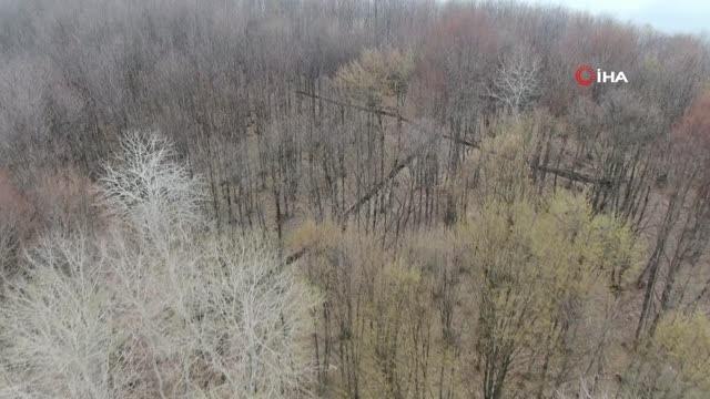 Kurtuluş savaşının en önemli mevzilerini alkolikler mesken tuttu