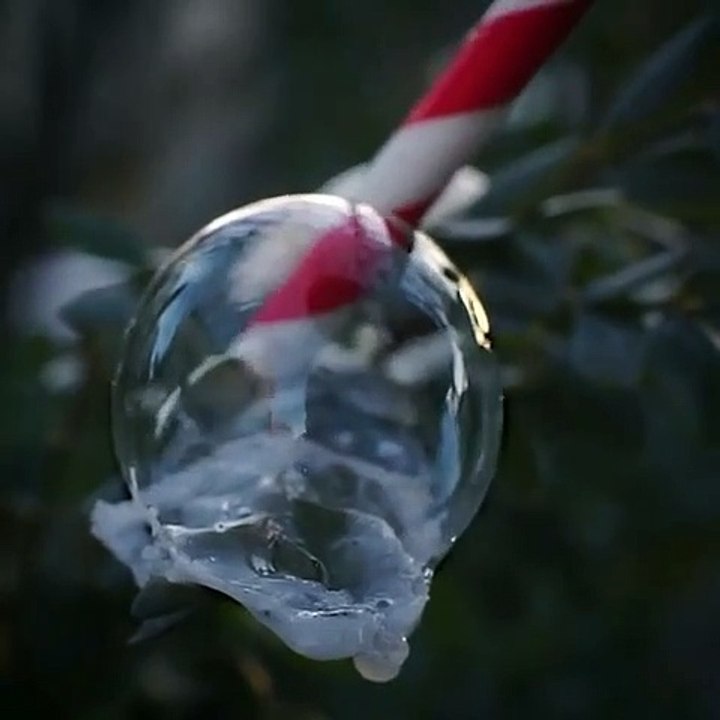 La bulle se fige en temps réel