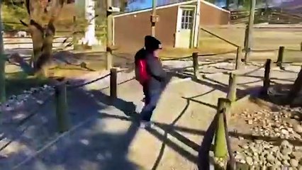 TRY NOT TO LAUGH - Funny Babies At The Zoo  - LAUGH TRIGGER