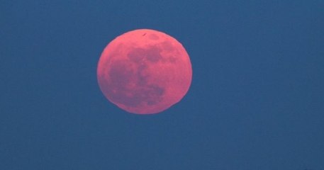 Une Super Lune rose illuminera le ciel dans la nuit du 26 au 27 avril
