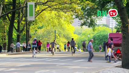 NewYork City Vacation Traveling Guide