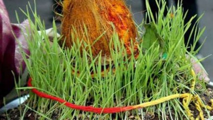 Chaitra Navratri 2021: अष्टमी या नवमी किस दिन हटाएं कलश | Boldsky