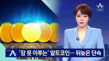 ‘잠 못 이루는’ 알트코인…정부의 뒤늦은 단속