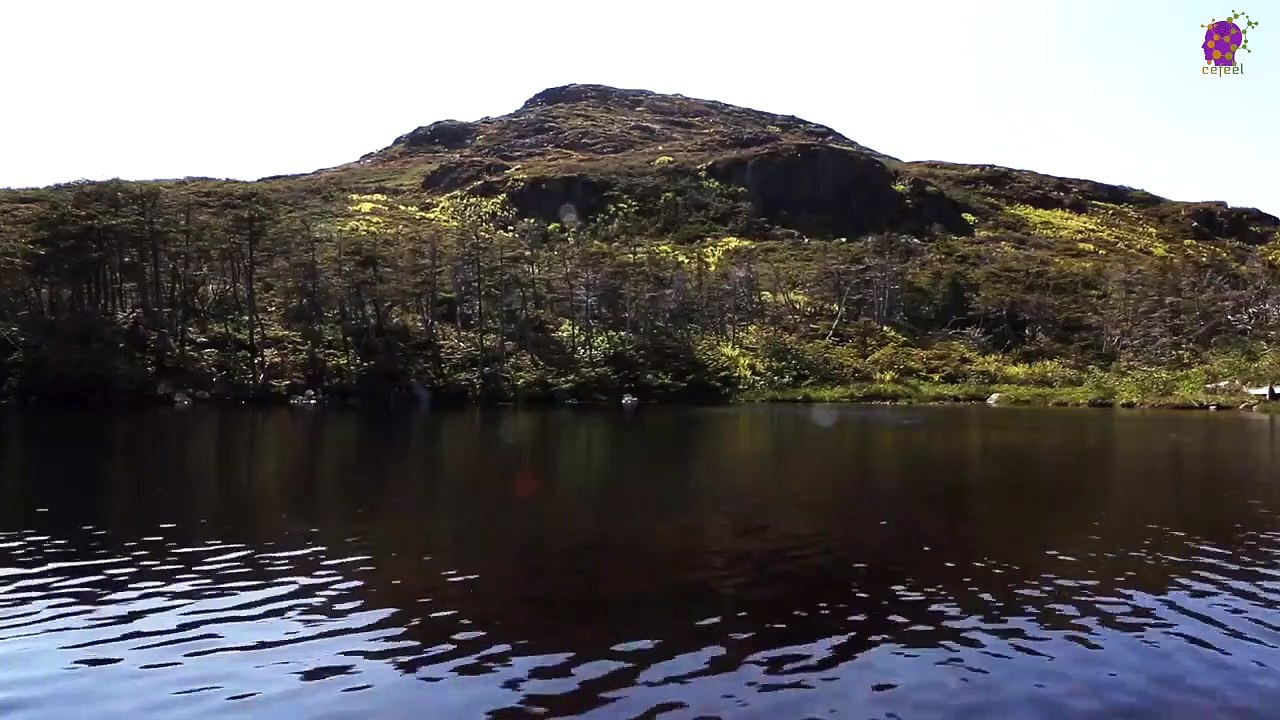 15 Minute Calming Music | Water | Nature | Soothing | Peaceful | Meditation | Positive Energy | Sleep | Study | Stress-Relief | Relaxing