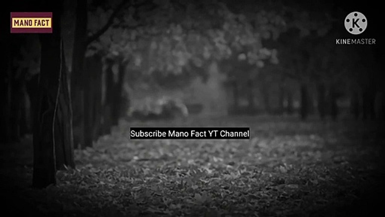 Maulana Tariq Jameel Bayan (Whatsapp Status) | Sabr صبر  | Molana Tariq Jameel Status | Mano Fact✨