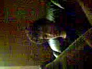 Ca bouge tout seul, j'ai peur!!