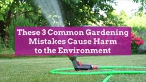 These 3 Common Gardening Mistakes Cause Harm to the Environment, Say Experts