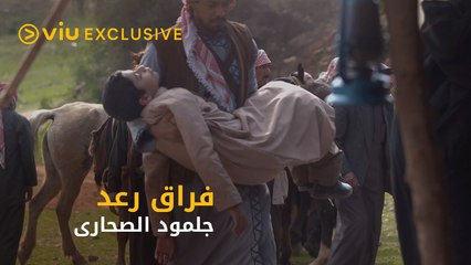 لحظة وداع  رعد بعد مقتله على يد نشمي ابن الشيخ متعب