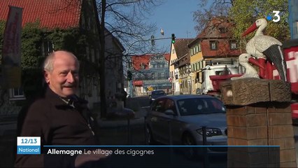Allemagne : Uehlfeld, la capitale de la cigogne