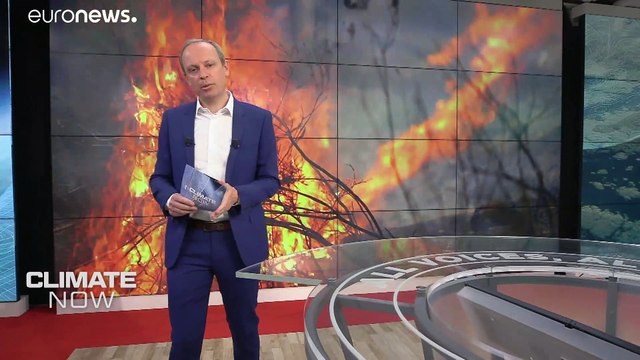 Pompiers et climatologues veulent devancer les feux de forêt grâce à l'intelligence artificielle