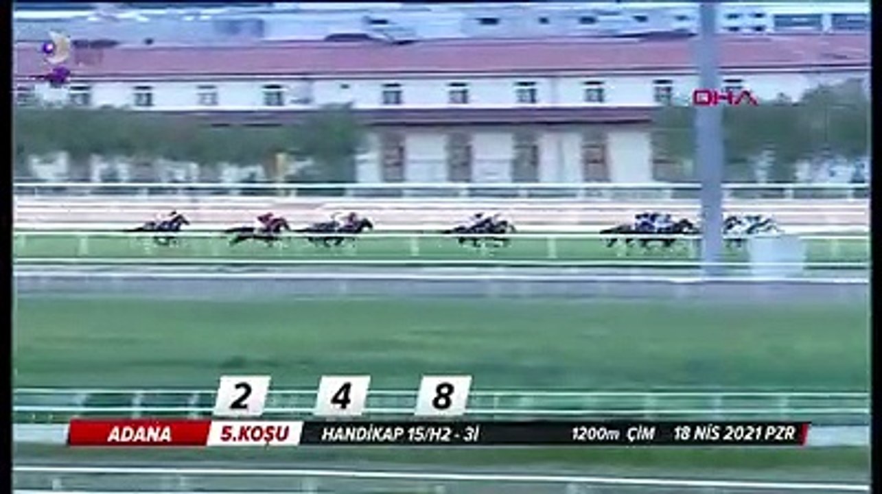 Yarış sırasında korkunç kaza; Attan düşen jokeyin durumu ciddiyetini koruyor