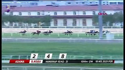 Yarış sırasında korkunç kaza; Attan düşen jokeyin durumu ciddiyetini koruyor