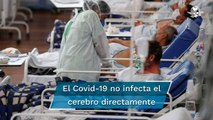 Covid-19 causa importantes daños al cerebro: estudio